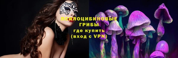 mdpv Нязепетровск