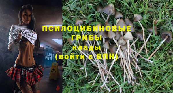 2c-b Няндома