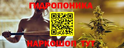 apvp Бийск