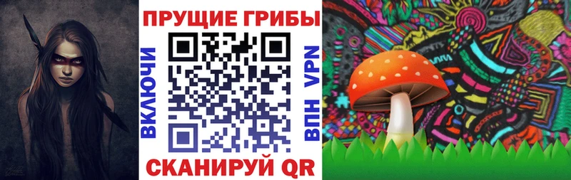 Галлюциногенные грибы GOLDEN TEACHER сколько стоит Богданович
