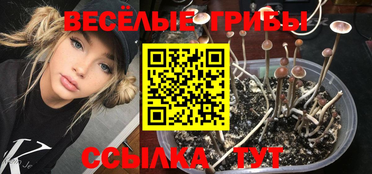 Галлюциногенные грибы Magic Shrooms  Богданович 