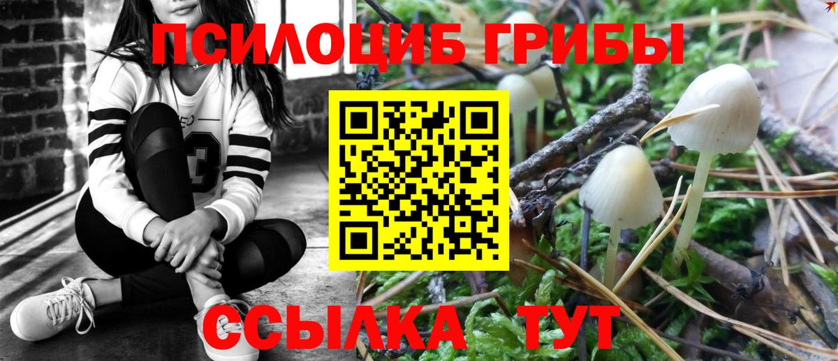 Галлюциногенные грибы мухоморы Богданович