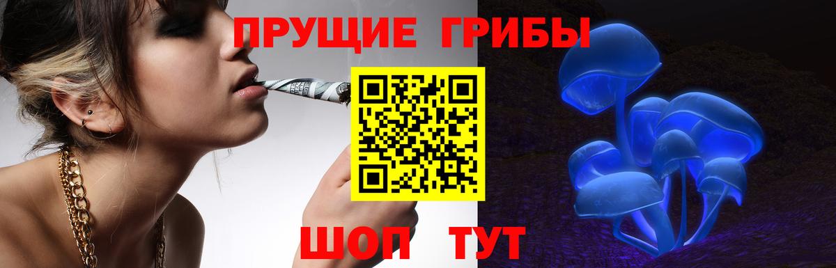 даркнет сайт  Галлюциногенные грибы GOLDEN TEACHER  Вход с VPN  Богданович 