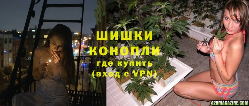 Каннабис Ganja  Богданович 